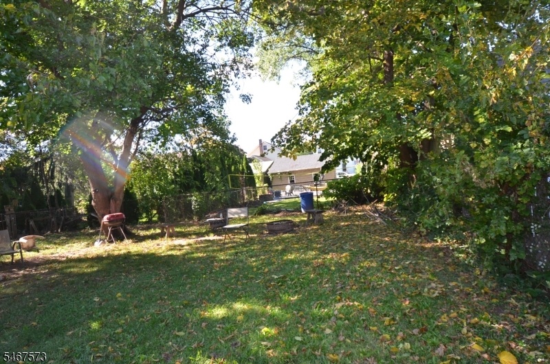 Back yard
