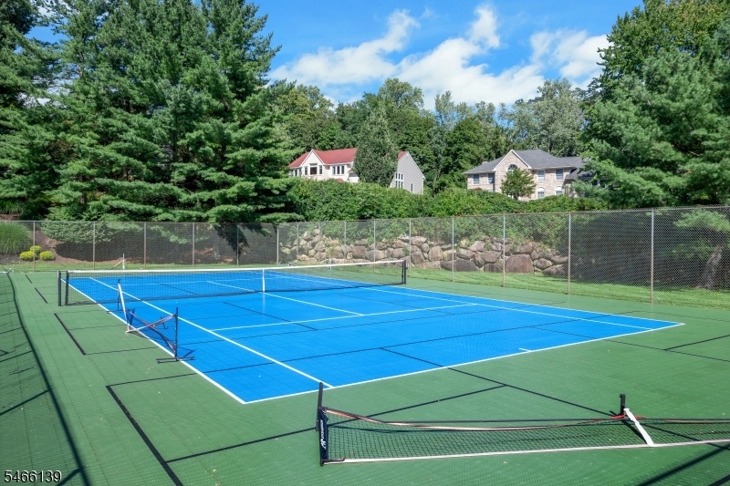 Tennis/Pickleball Court