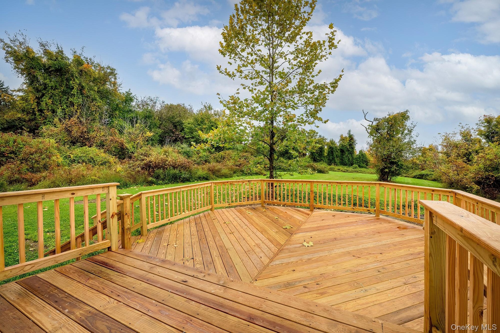 Back Deck