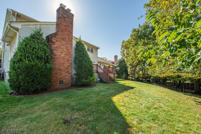 Side Yard & Wooded Backdrop
