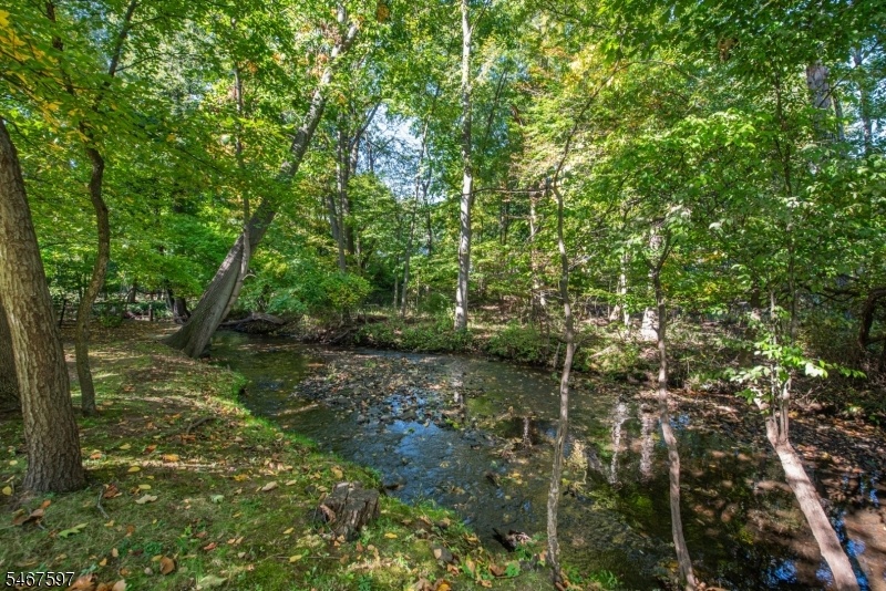 Wooded Stream Setting