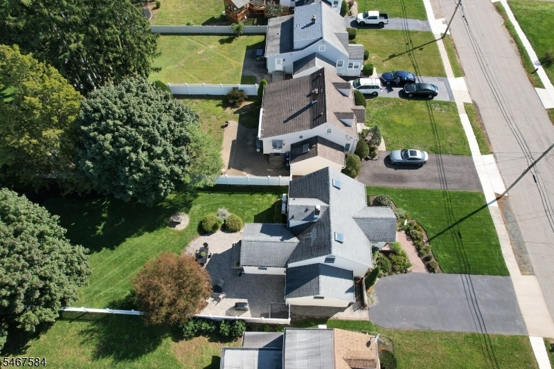 Amazing Neighborhood