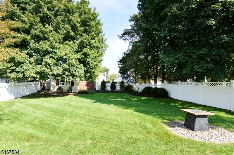 Fully Fenced