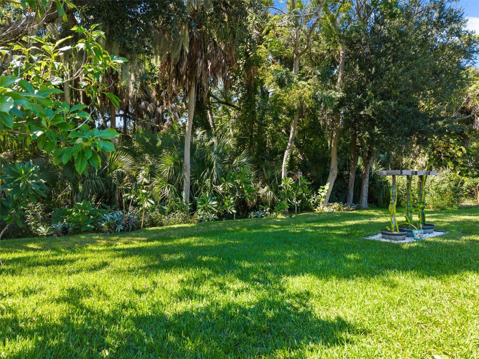 Backyard Preserve