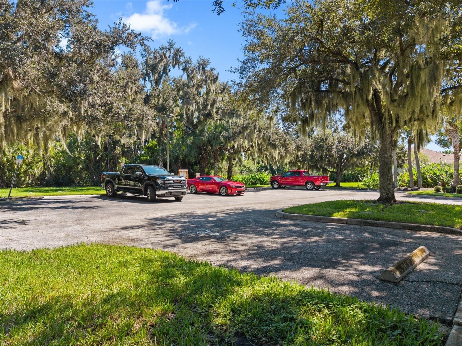 Common Area Parking Lot