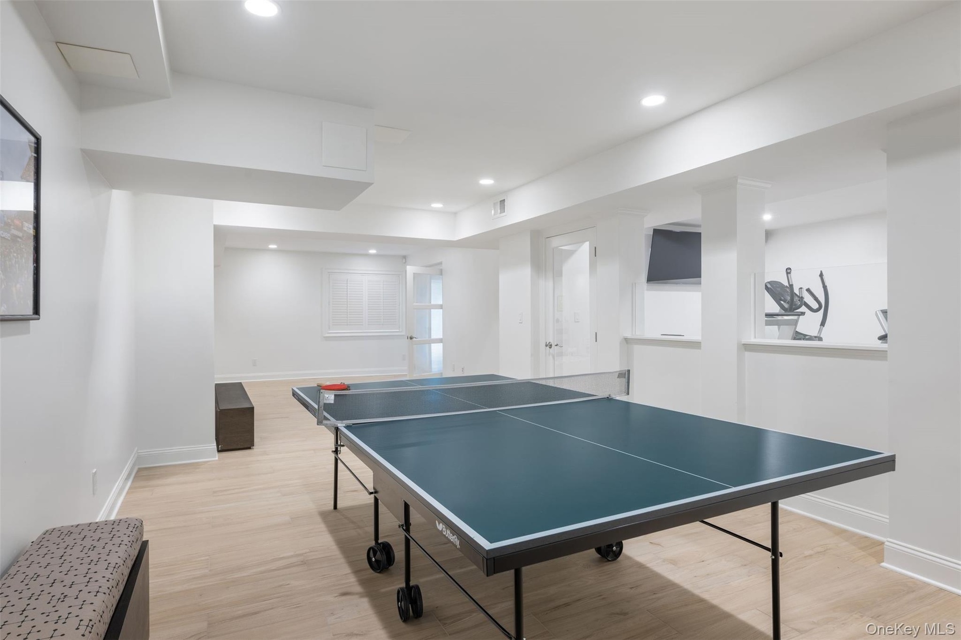 Recreation room and home gym.