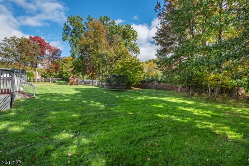 Rear yard