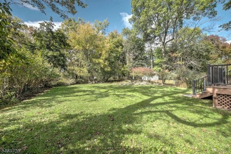 Rear Yard