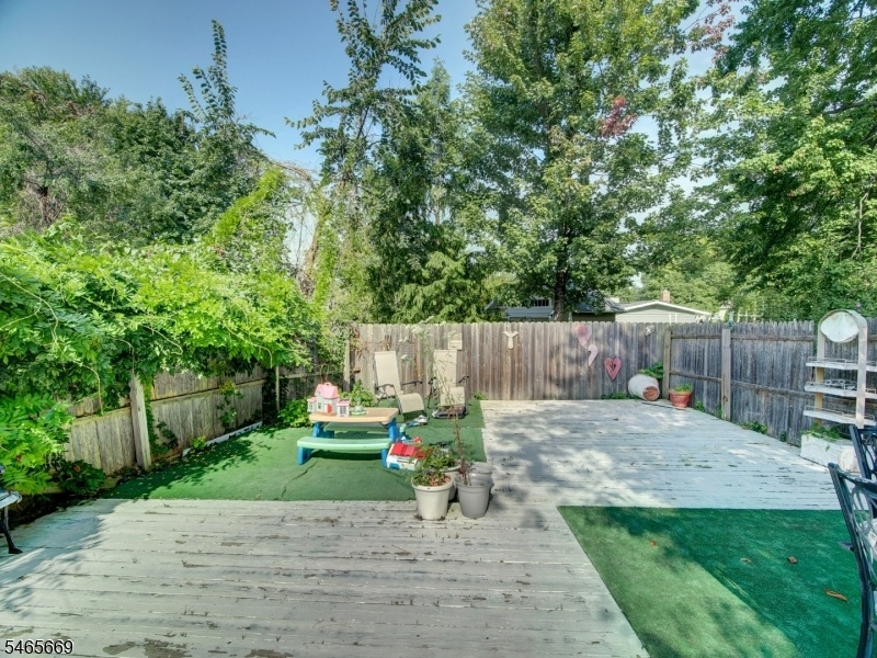 back yard