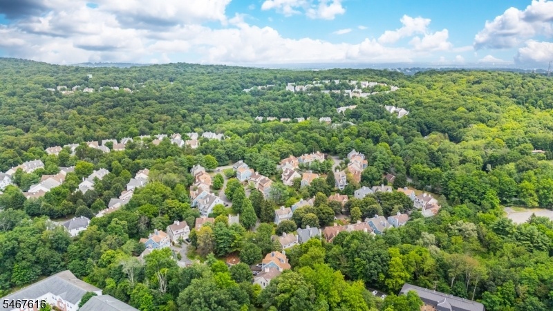 Aerial Shot