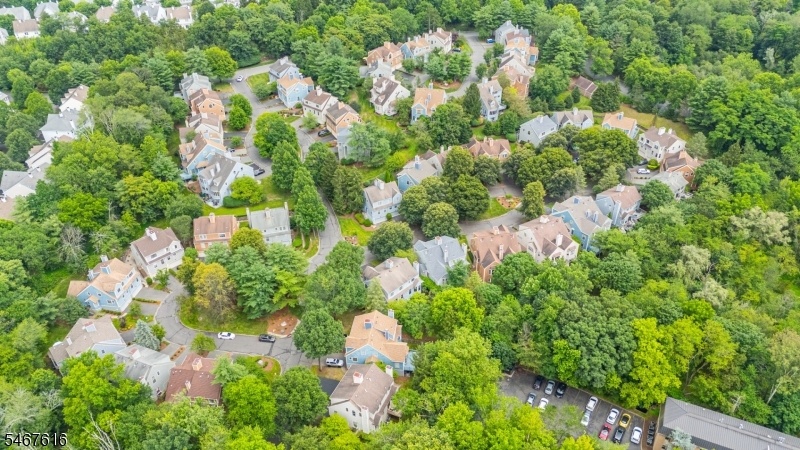 Aerial Shot