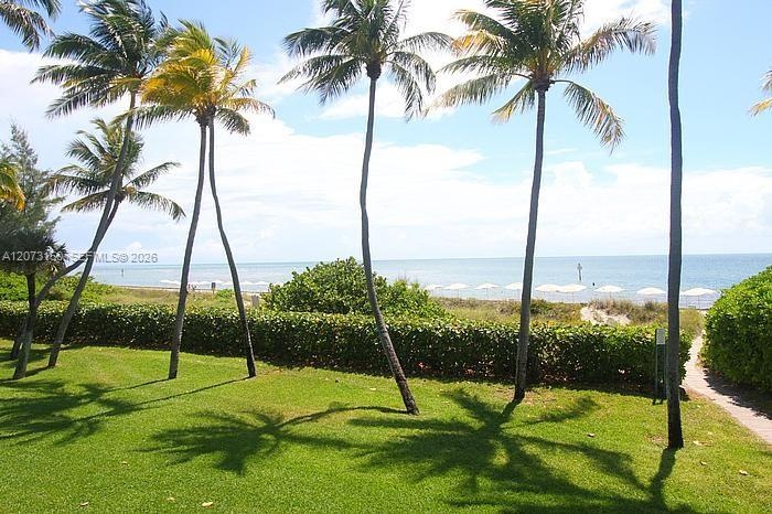Lawn area featuring mature palm trees, perimeter shrubbery, and sandy pathway with immediate proximity to the coastline