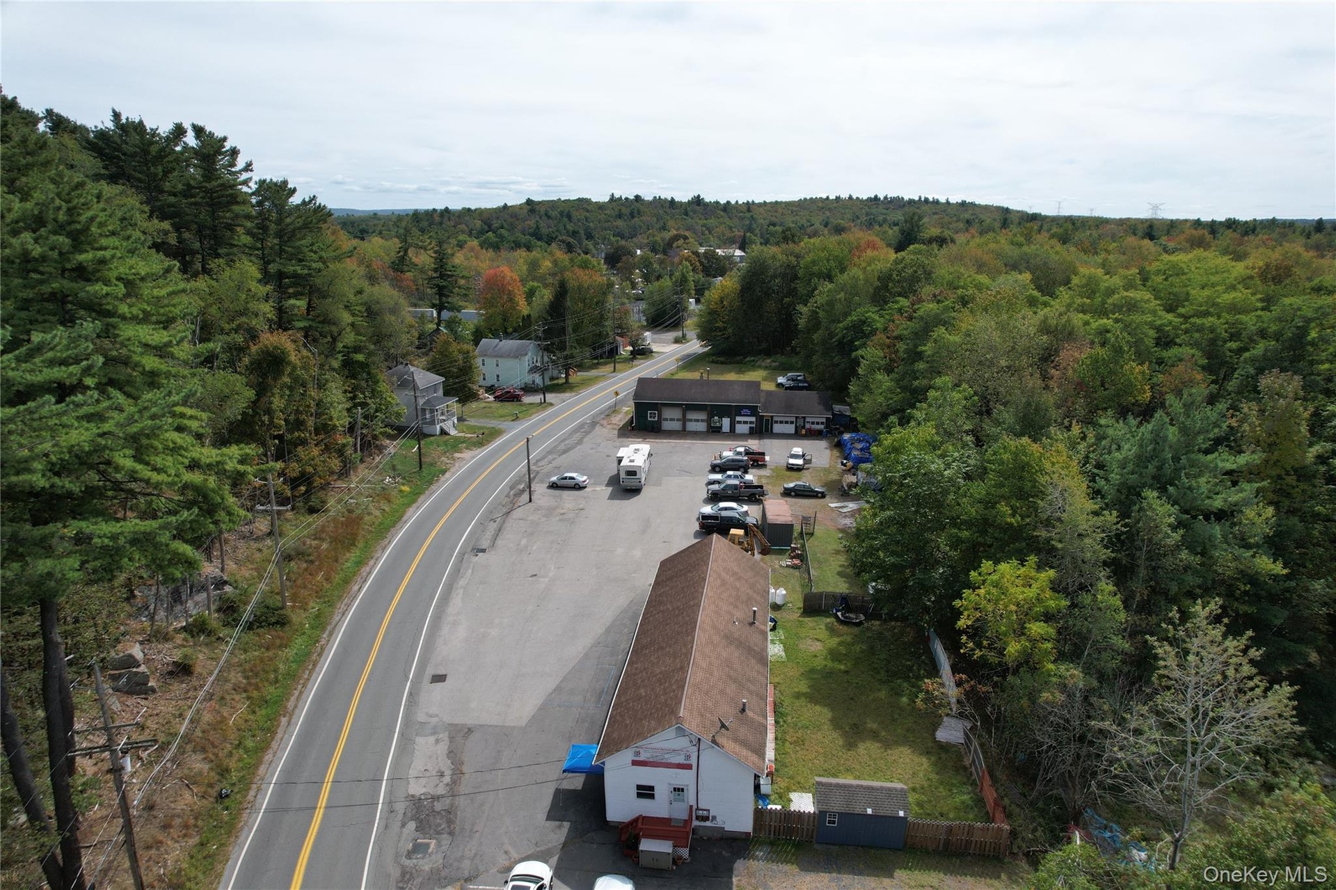 Drone / aerial view of a forest