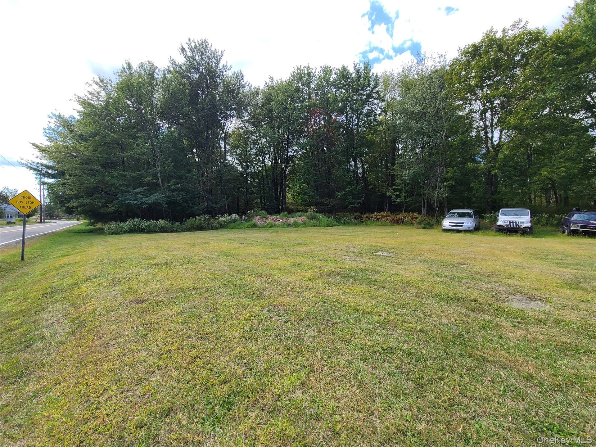View of green lawn