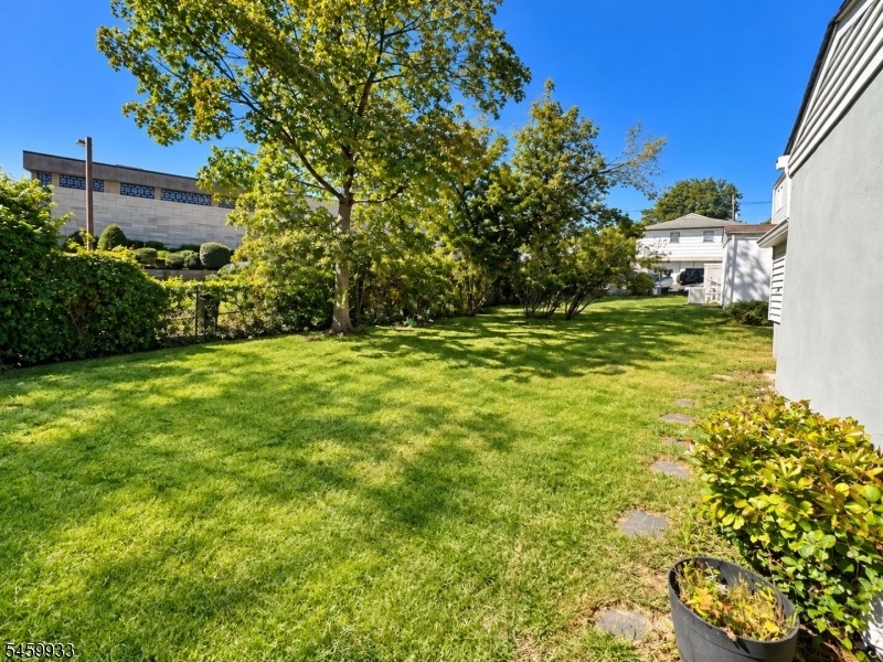 Yard