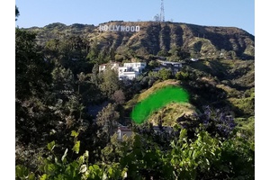 Hollywood Hills Development Opportunity