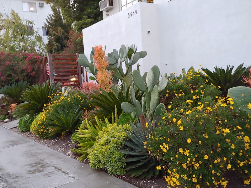 5919 Chula Vista Way, Los Angeles, CA, 90068 1 BR for rent, Condo