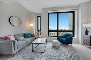 NEW DEVELOPMENT: 550 VANDERBILT AT PACIFIC PARK BROOKLYN