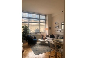 1 Bed/ 1 Bath Penthouse in TriBeCa Luxury Apartment with Roof Deck