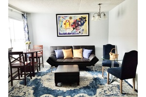 Great One Bedroom Luxury Apartment Furnished